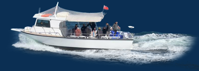 Sydney Charter Fishing